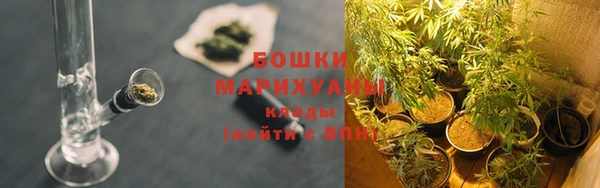 дживик Медвежьегорск