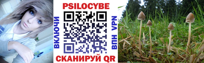 Купить  Окуловка  Псилоцибиновые грибы Cubensis 